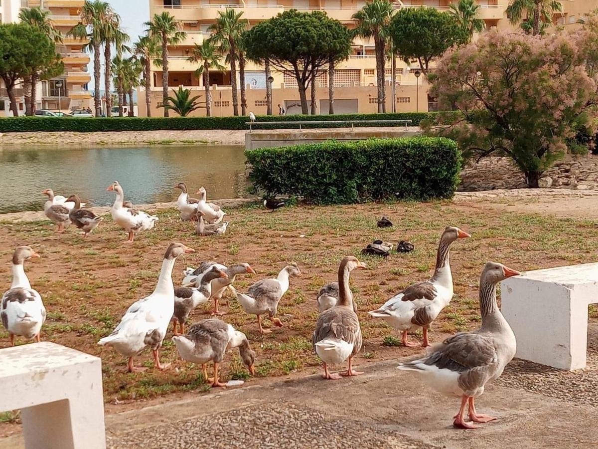 טברנס דה ויאדיגנה Apartamento En La Playa מראה חיצוני תמונה